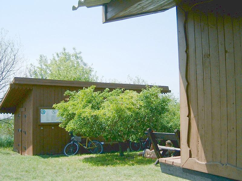 20110520 117.jpg